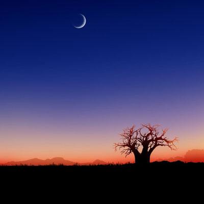 bob体育APP下载链接